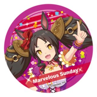 ウマ娘プリティーダービー　３Ｄマグネット　Marvelous Sunday(その他)