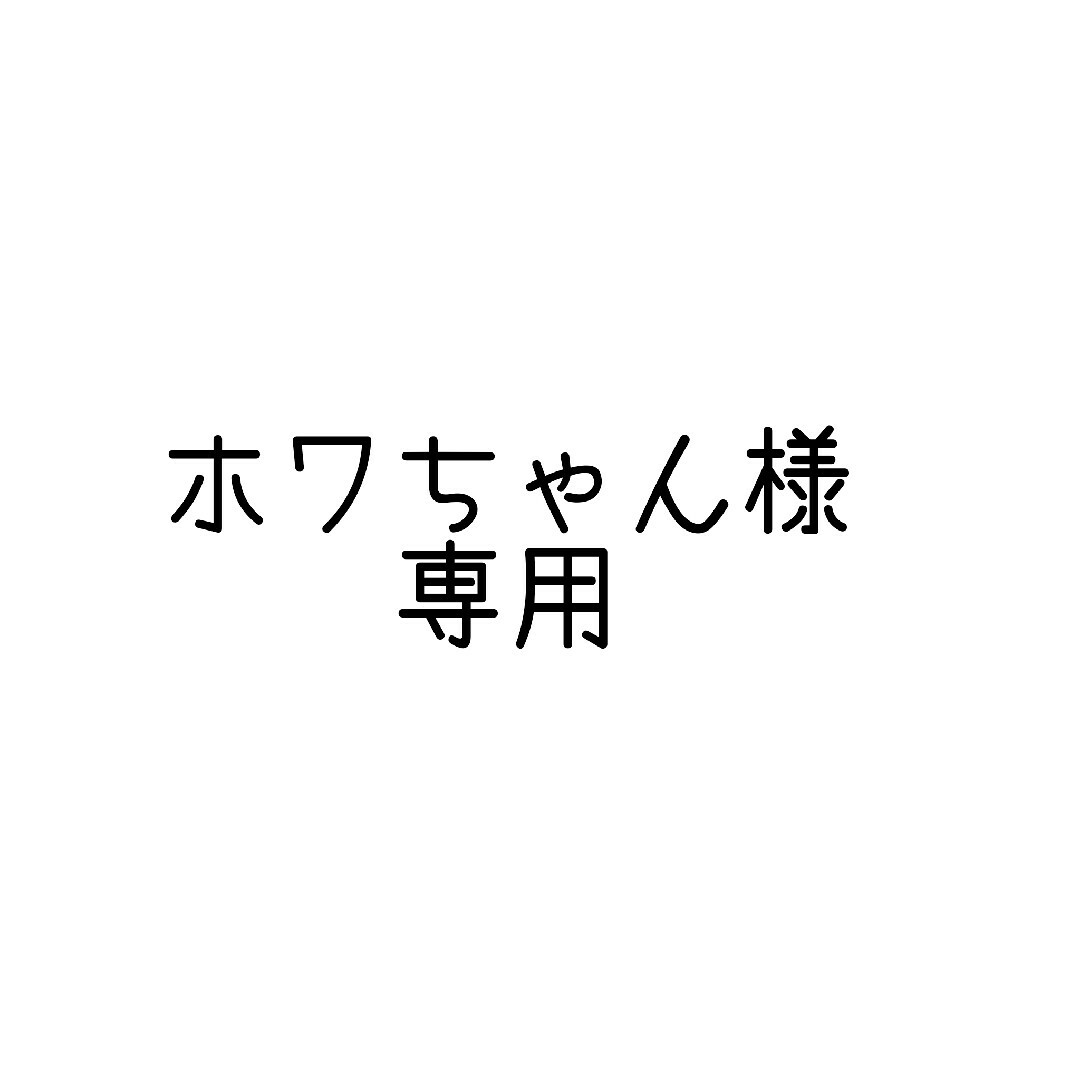 ホワちゃん様専用 エンタメ/ホビーのおもちゃ/ぬいぐるみ(ぬいぐるみ)の商品写真