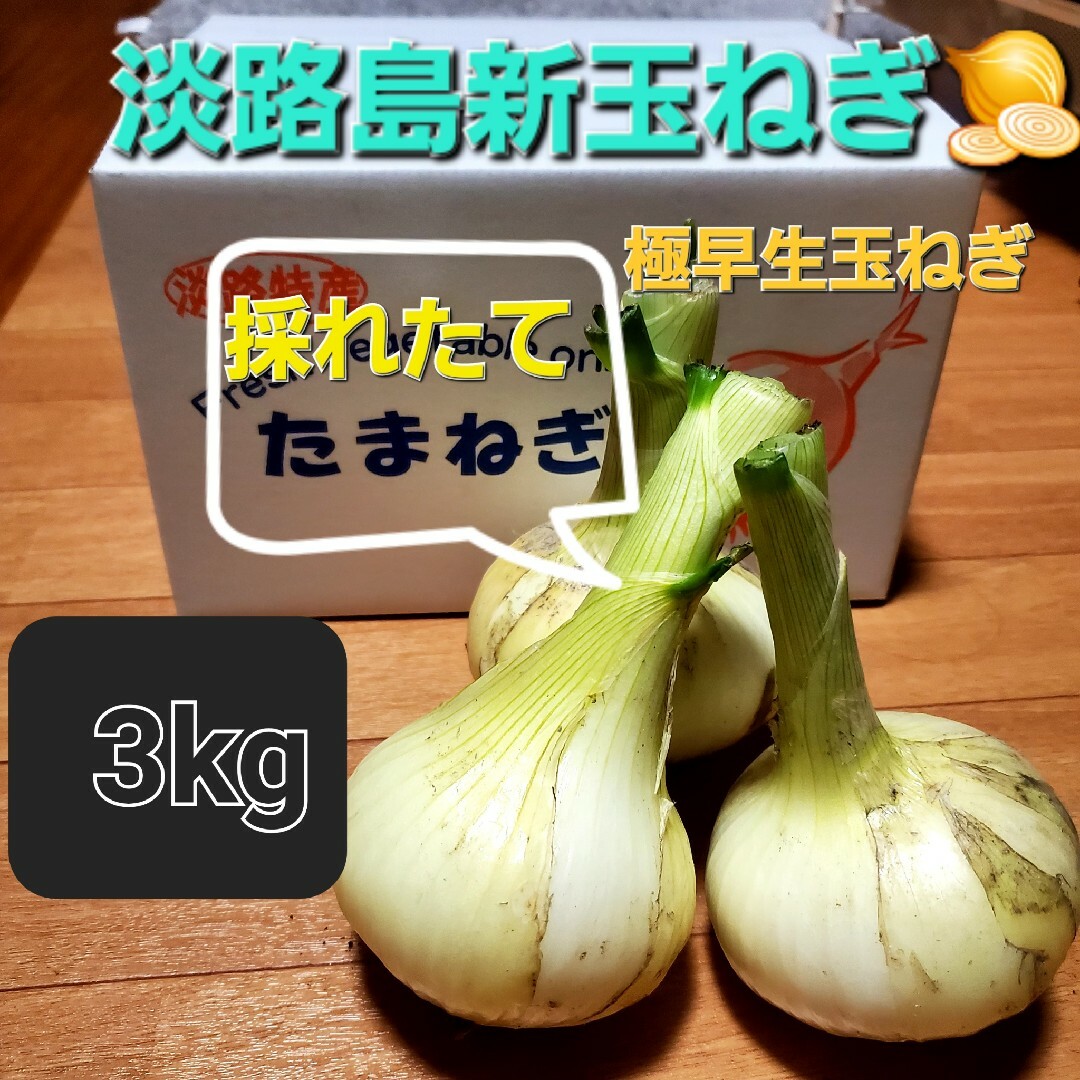 淡路島新玉ねぎ🧅極早生玉ねぎ3kg 食品/飲料/酒の食品(野菜)の商品写真