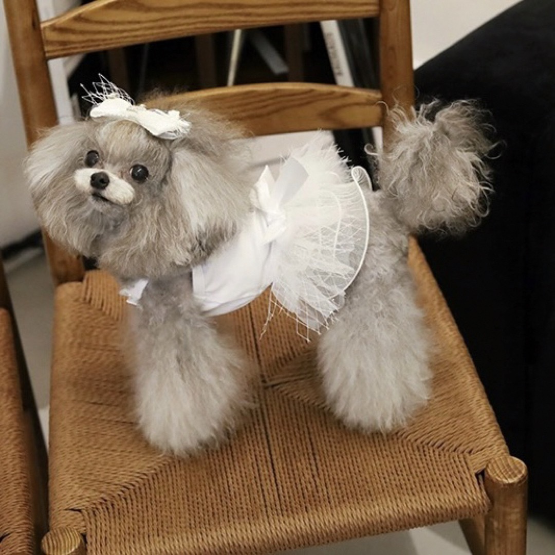 【新品】可愛い♡チュールキャミワンピース　犬服　ドッグウェア　ドレス　S M L その他のペット用品(犬)の商品写真