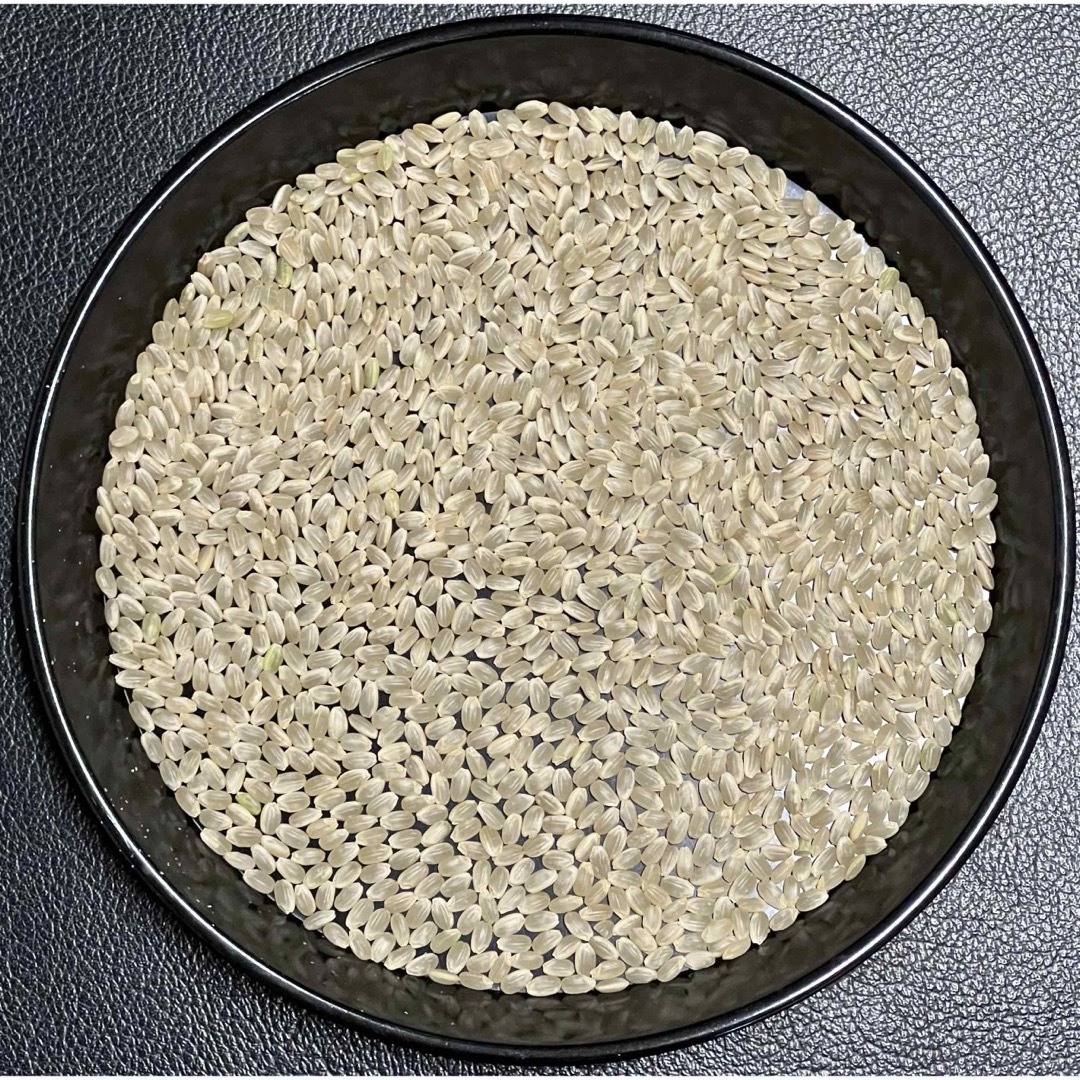 玄米 30kg 京都 丹後 米 コシヒカリ 送料無料 減農薬米 食品/飲料/酒の食品(米/穀物)の商品写真