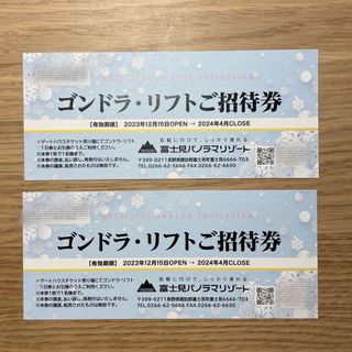 富士見パノラマリゾート　ゴンドラ・リフト券(スキー場)