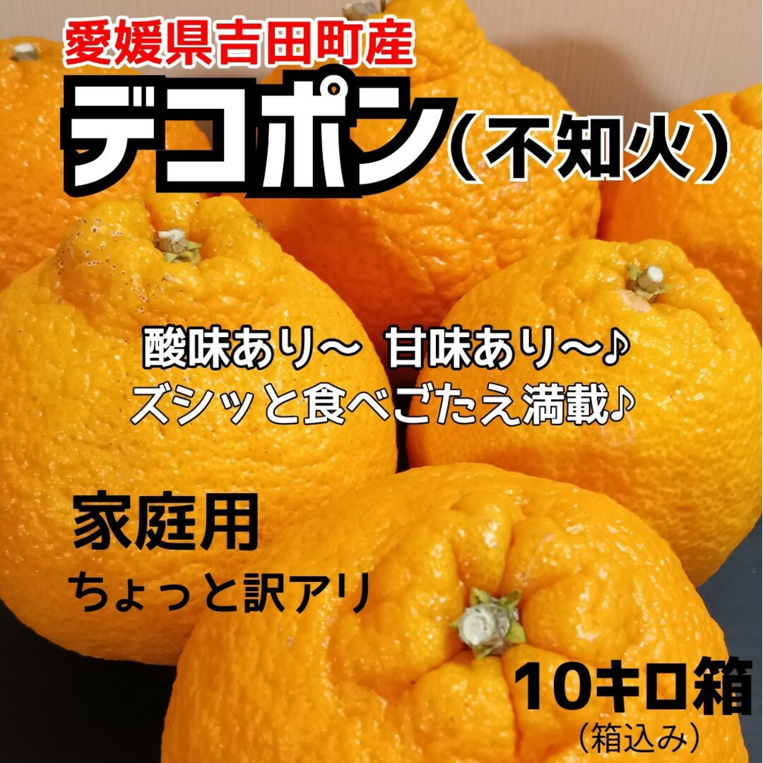 愛媛県産★農家直送★不知火(デコポン)10キロ 食品/飲料/酒の食品(フルーツ)の商品写真