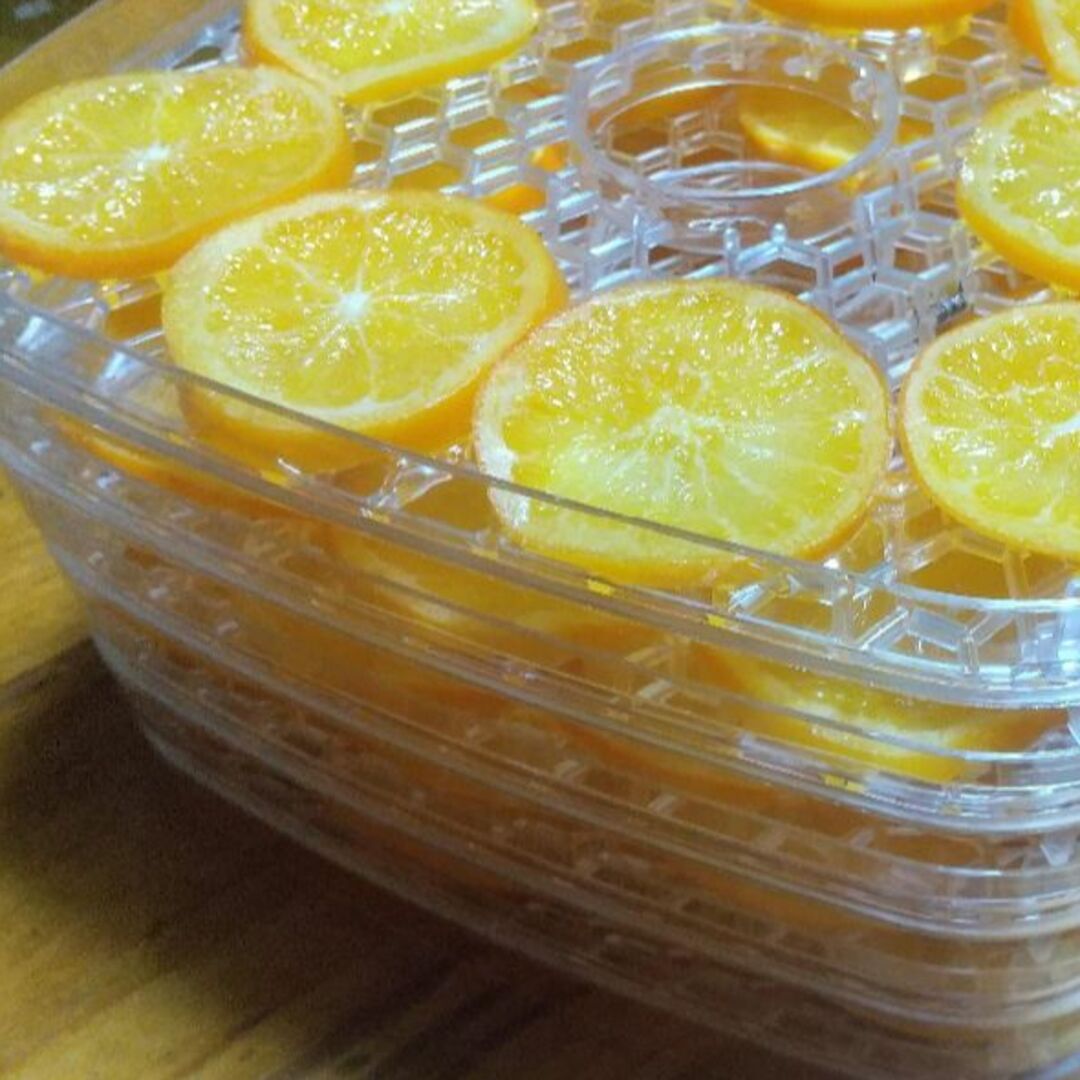 【農家直送】ネーブルオレンジ　小さいサイズ　5キロ　送料込 食品/飲料/酒の食品(フルーツ)の商品写真