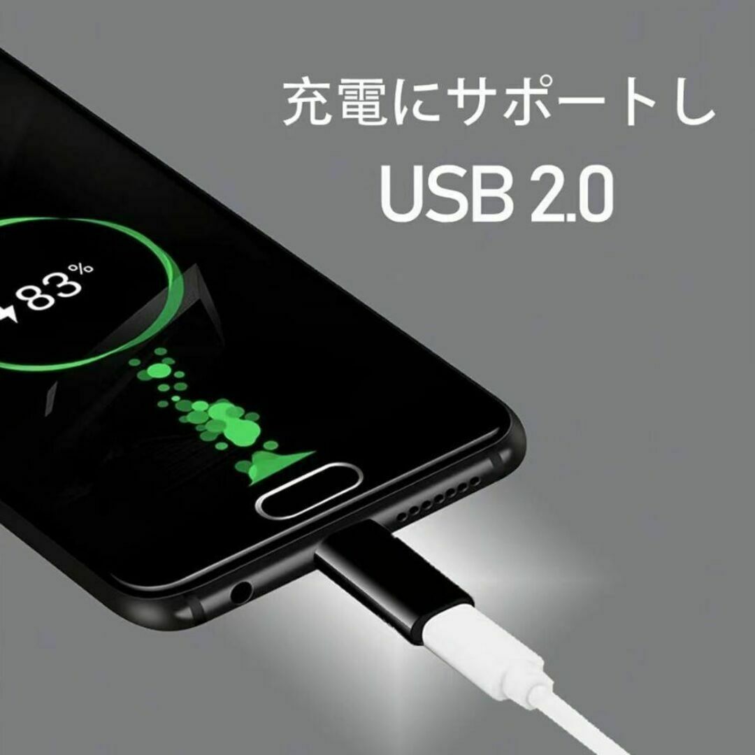 IOSからタイプC変換コネクタ　データ伝送　変換アダプタ 2個セット スマホ/家電/カメラのスマホアクセサリー(その他)の商品写真