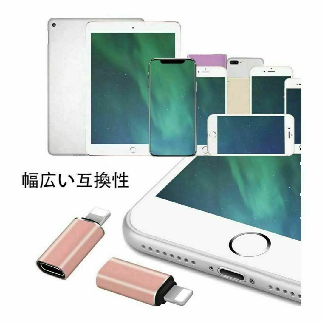 タイプC TO ライトニング 変換コネクタ　変換アダプタ 　2個セット スマホ/家電/カメラのスマホアクセサリー(その他)の商品写真