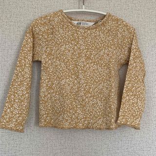 エイチアンドエム(H&M)の美品　セットアップ　H&M(Tシャツ/カットソー)