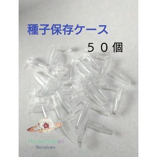 種子 花粉 保存容器 キャップ付き 50個 エケベリア リトープス(その他)