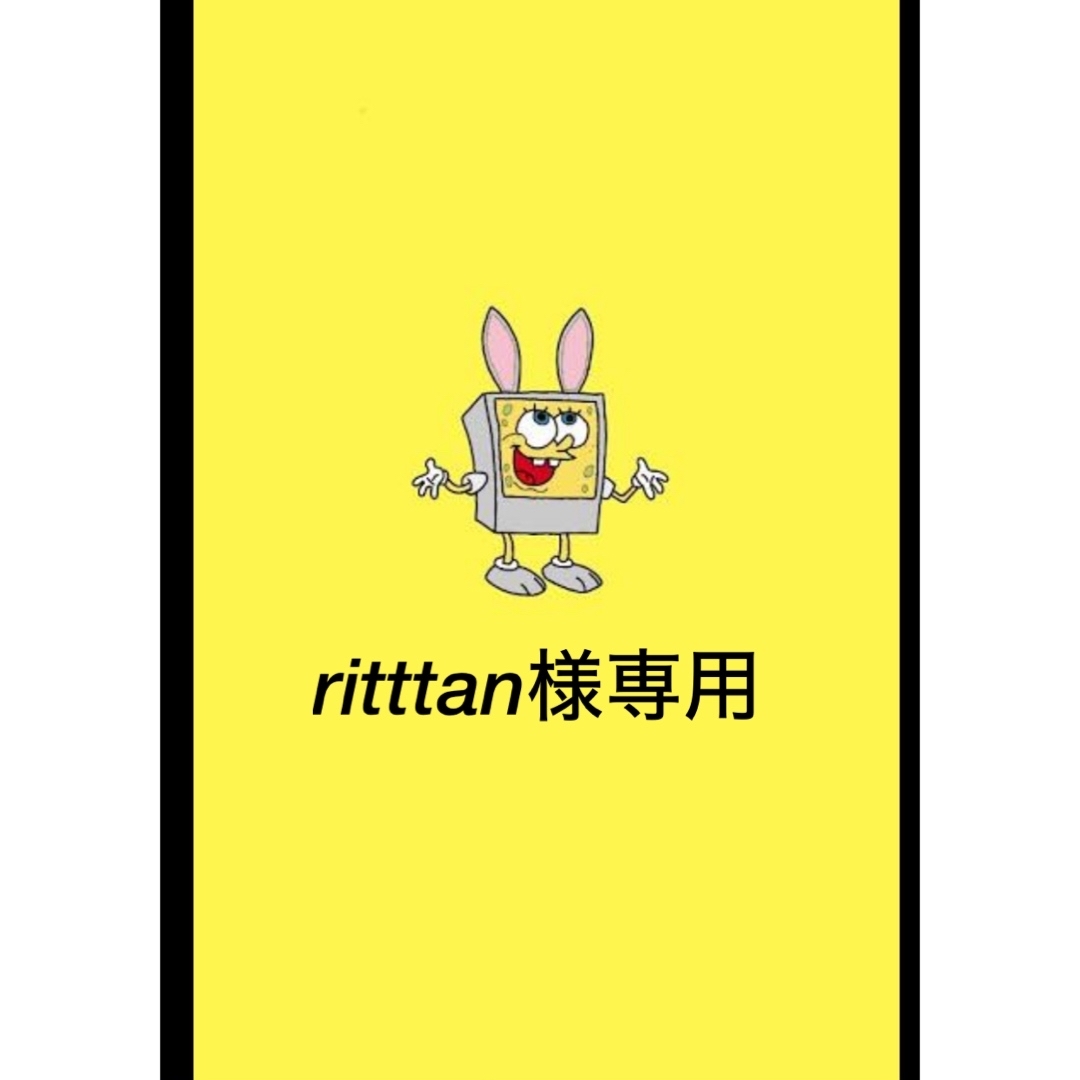 ritttan様専用 ハンドメイドのキッズ/ベビー(外出用品)の商品写真