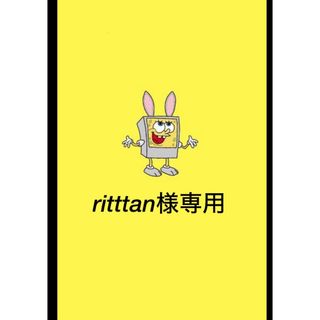 ritttan様専用(外出用品)