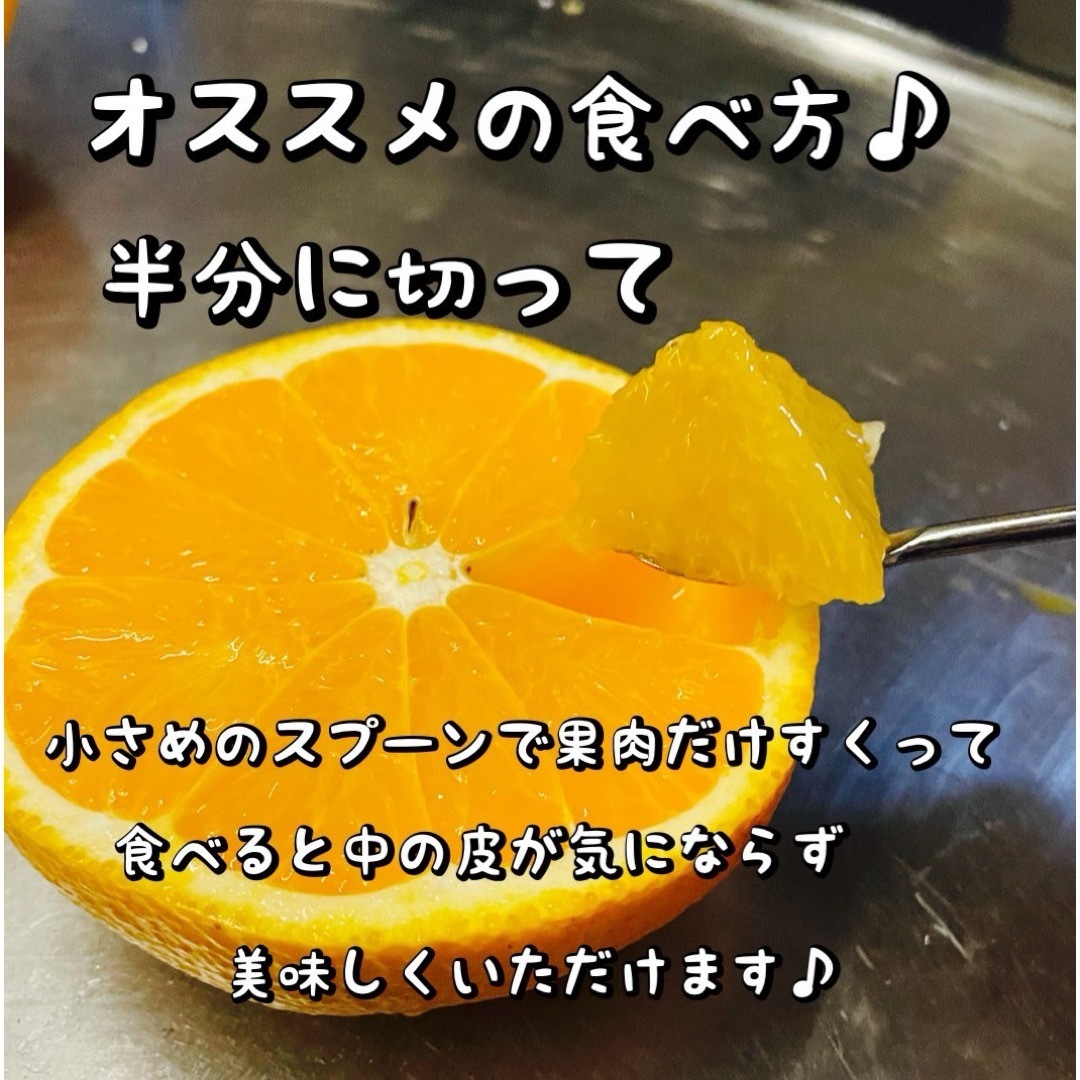 有田みかん(アリダミカン)の清見オレンジ　5キロ　傷あり　サイズ混合 食品/飲料/酒の食品(フルーツ)の商品写真