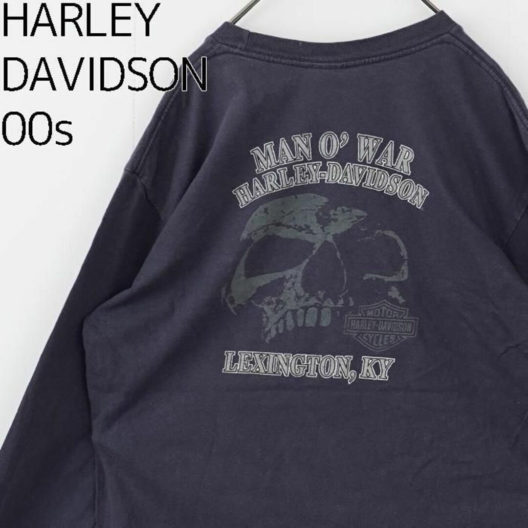 Harley Davidson(ハーレーダビッドソン)のハーレーダビッドソン プリントTシャツ 長袖 00s ネイビー 紺 7760 その他のその他(その他)の商品写真