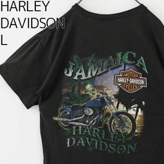 ハーレーダビッドソン(Harley Davidson)のハーレーダビッドソン 両面プリント Tシャツ 半袖 L 黒 ブラック 7773(その他)