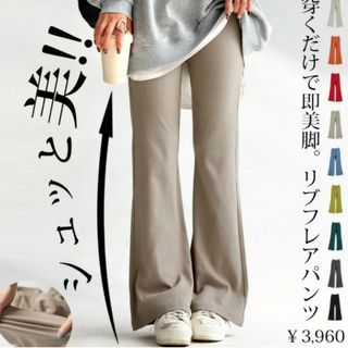 アンティカ(antiqua)のシュッと美シリーズ 微起毛リブパンツ レディース 500(ショートパンツ)