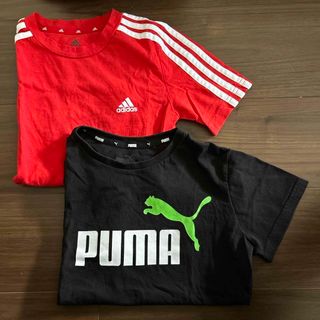 アディダス(adidas)の140センチ　Tシャツ　adidas(Tシャツ/カットソー)