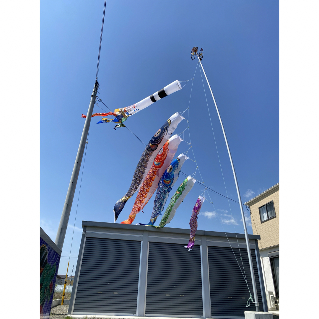 鯉のぼり 太陽 6mセット(吹流しは付きません)の通販 by せれん 鯉のぼり 太陽 6mセット(吹流しは付きません)の通販 by せれん