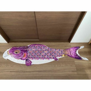 鯉のぼり　太陽　紫　2m（定価約23000円）(その他)