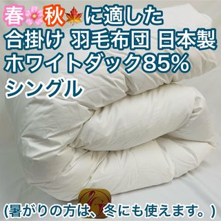 合掛け 羽毛布団 シングル ニューゴールドラベル 日本製 春 秋 用　白色(布団)