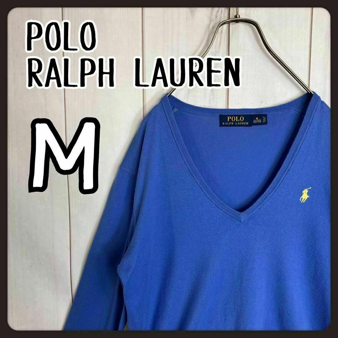 POLO RALPH LAUREN(ポロラルフローレン)の【定番デザイン】　ポロラルフローレン　ニット　薄手　ポニー刺繍　Vネック　M レディースのトップス(ニット/セーター)の商品写真