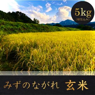 【品質保証】玄米 5kg コシヒカリ お米 米 群馬県産 高級米(米/穀物)