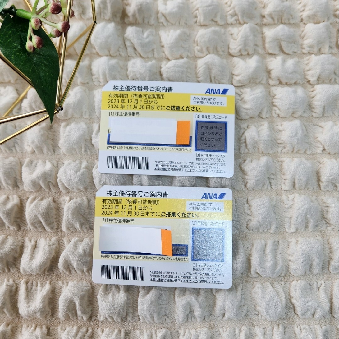 ANA　株主優待券　二枚セット チケットの乗車券/交通券(航空券)の商品写真