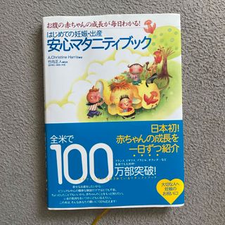 はじめての妊娠・出産安心マタニティブック