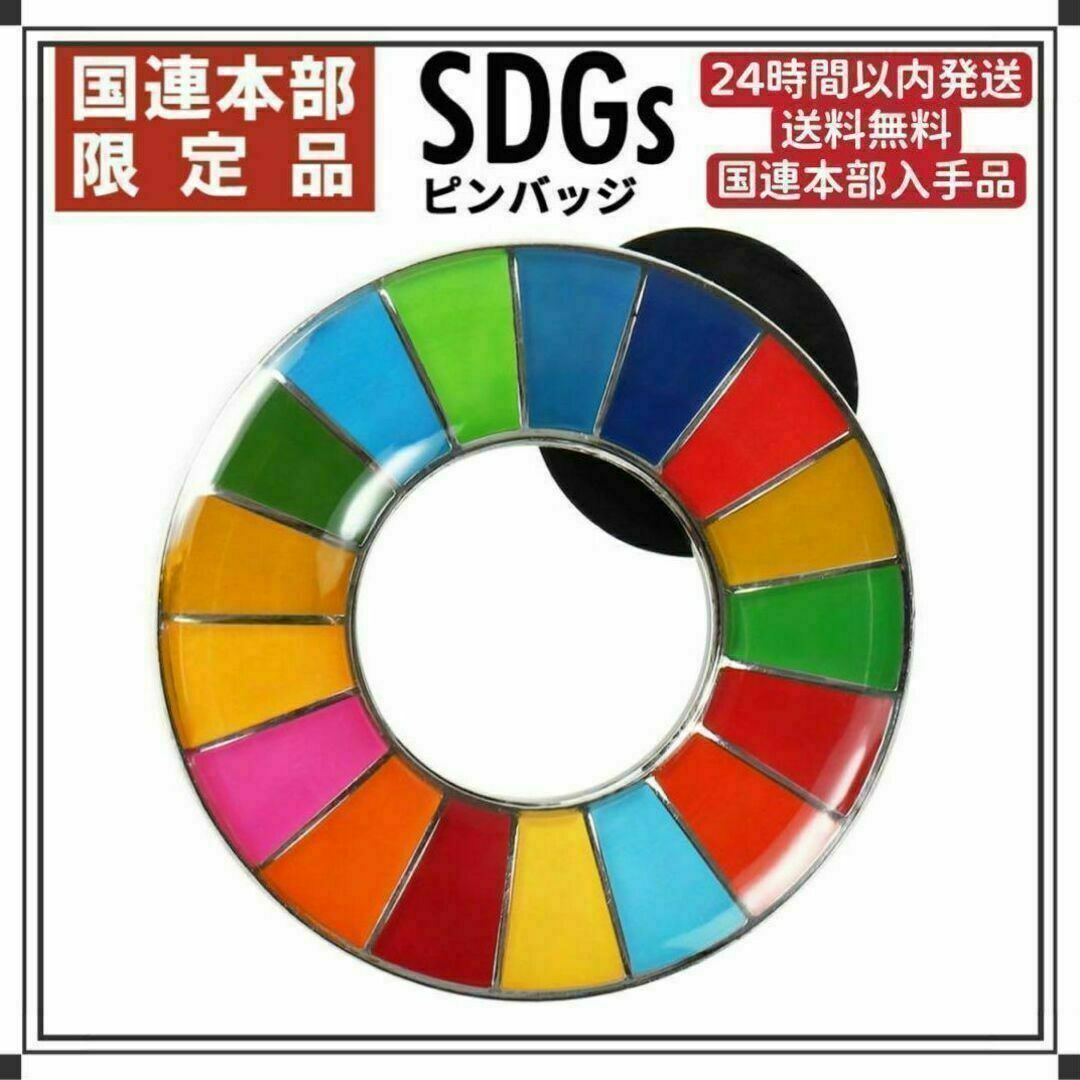 【大セール】SDGs ピンバッチ 国連本部正規品　1点 インテリア/住まい/日用品のオフィス用品(その他)の商品写真