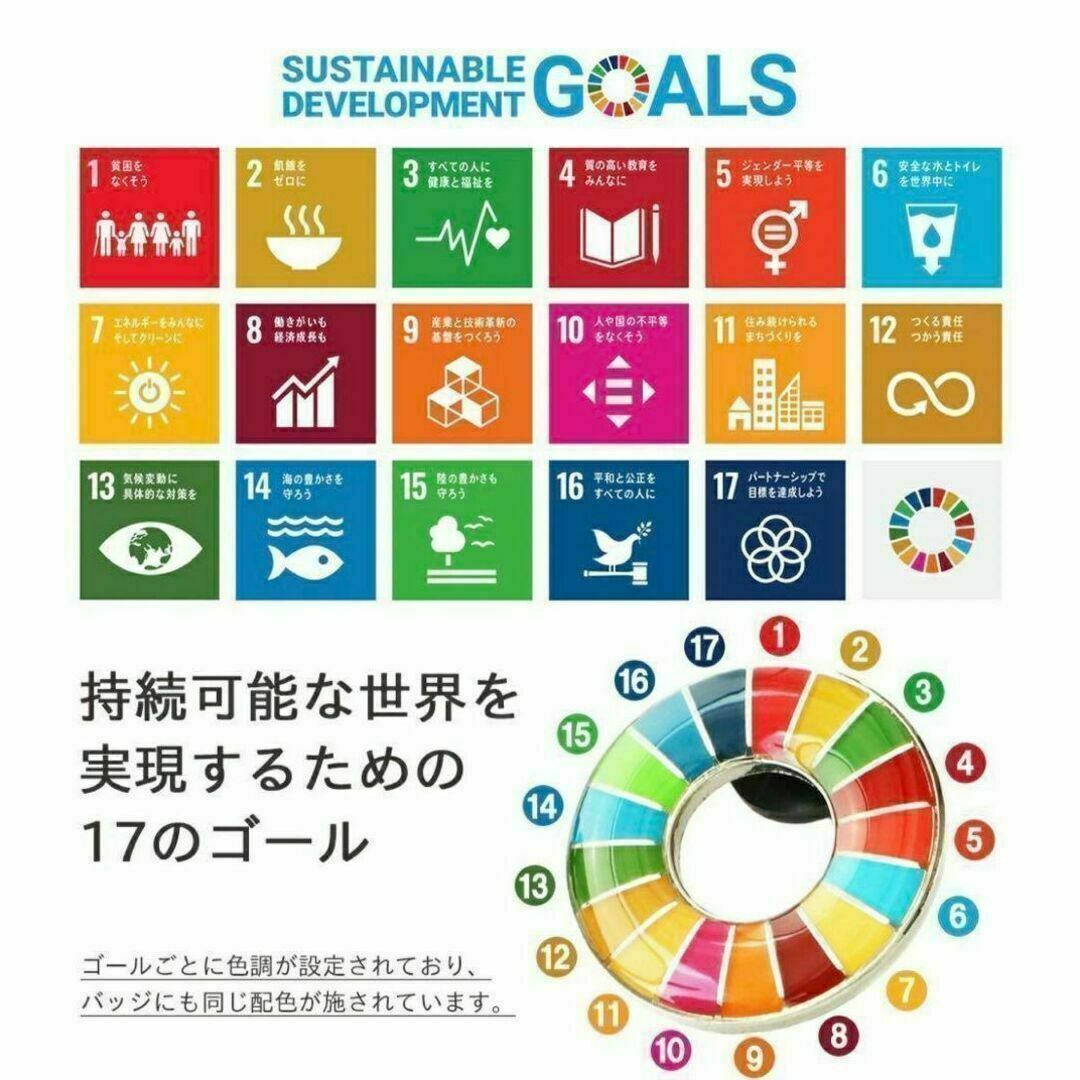 【大セール】SDGs ピンバッチ 国連本部正規品　1点 インテリア/住まい/日用品のオフィス用品(その他)の商品写真