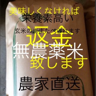 、、様専用　無農薬米　純こしひかり30㎏ 玄米(米/穀物)