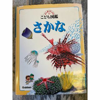 ガッケン(学研)のさかな （ふしぎ・びっくり！？こども図鑑） 荒賀　忠一(絵本/児童書)