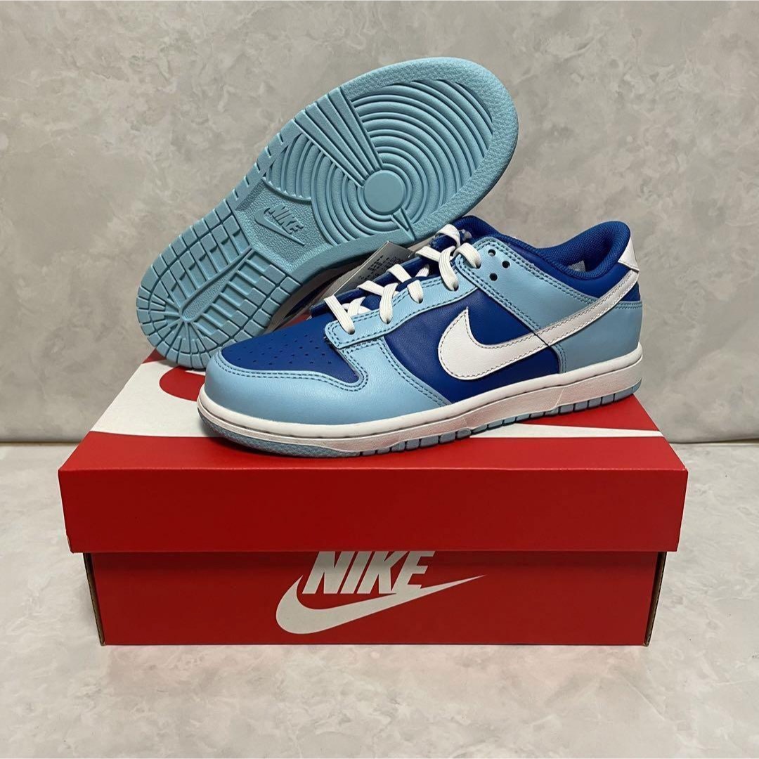 NIKE(ナイキ)の【完売品】Nike PS Dunk Low Retro QS "Argon" キッズ/ベビー/マタニティのキッズ靴/シューズ(15cm~)(スニーカー)の商品写真