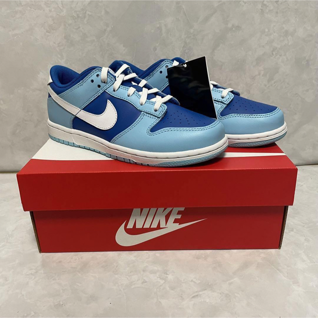 NIKE(ナイキ)の【完売品】Nike PS Dunk Low Retro QS "Argon" キッズ/ベビー/マタニティのキッズ靴/シューズ(15cm~)(スニーカー)の商品写真