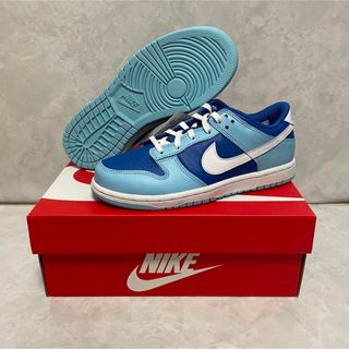 ナイキ(NIKE)の【完売品】Nike PS Dunk Low Retro QS "Argon"(スニーカー)