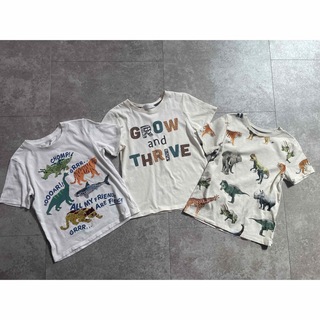 エイチアンドエム(H&M)のキッズアニマルTシャツ　3枚セット(Tシャツ/カットソー)