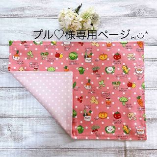 プル♡様　専用ページ⑅◡̈*(外出用品)