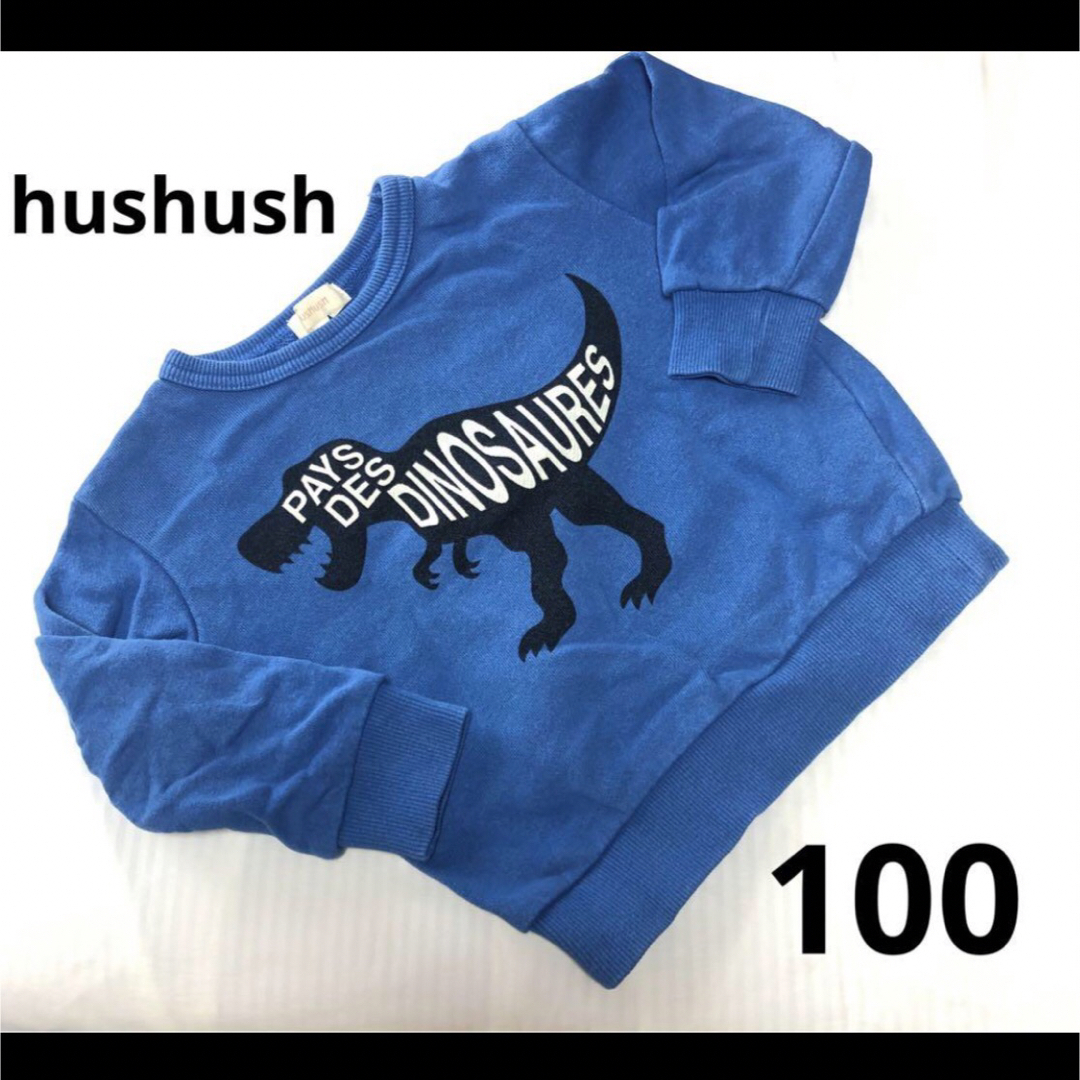 HusHush(ハッシュアッシュ)の【hushush】恐竜トレーナー 100 キッズ/ベビー/マタニティのキッズ服男の子用(90cm~)(Tシャツ/カットソー)の商品写真