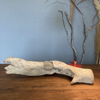 12.石を抱えた野獣　流木…天然物、インテリア、オブジェ(彫刻/オブジェ)