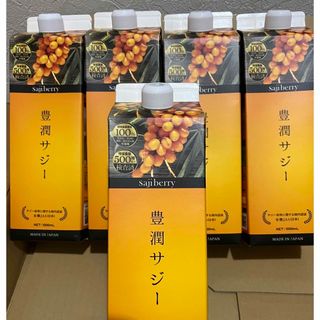 フィネス(Finess)の新品　フィネス豊潤サジー1,000ml    ５本(ダイエット食品)