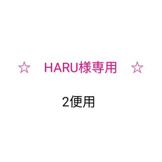 HARU様専用♪お布団カバー2便用(その他)