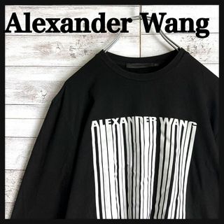 アレキサンダーワン(Alexander Wang)の9207【即完売モデル】アレキサンダーワン☆ビッグロゴ定番ロングtシャツ　美品(その他)