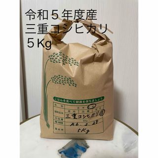 令和５年度産　三重コシヒカリ　５Kg   3(米/穀物)