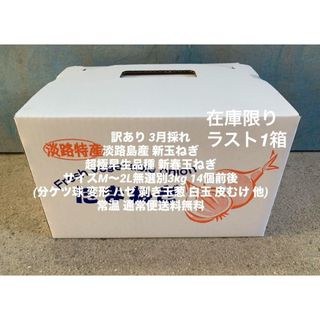 訳あり 淡路島産 新玉ねぎ 超極早生 新春玉ねぎ 3kg M～2L 14個前後(野菜)