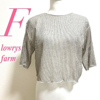 ローリーズファーム(LOWRYS FARM)のローリーズファーム　半袖カットソー　F　グレー　ベージュ　ストライプ　カジュアル(カットソー(半袖/袖なし))