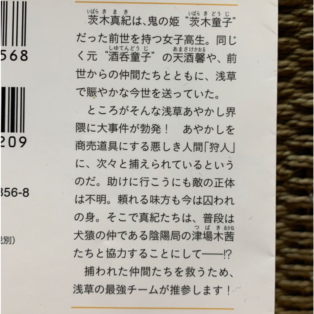 文庫本★浅草鬼嫁日記〜あやかし夫婦シリーズ④~⑦4冊セット★友麻碧 エンタメ/ホビーの本(文学/小説)の商品写真