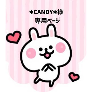 ✱CANDY✱様専用ページ(各種パーツ)