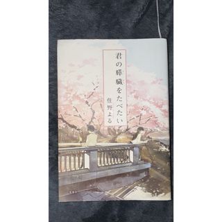 君の膵臓をたべたい(文学/小説)