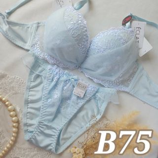 №565【B75】トゥインクルガーリーブルームブラジャー&フルバックショーツ(ブラ&ショーツセット)