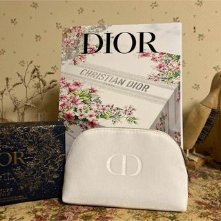 クリスチャンディオール(Christian Dior)のDIOR ポーチ(ポーチ)