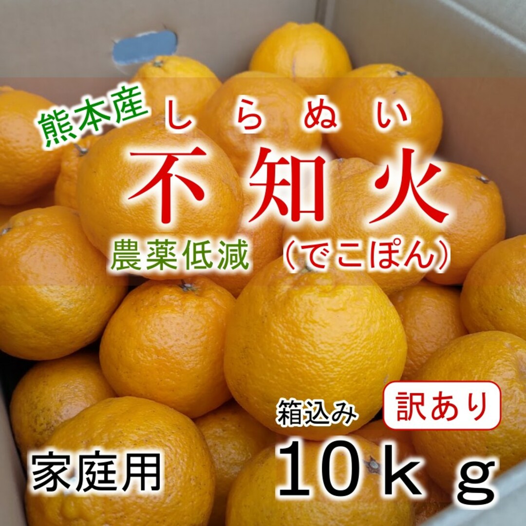 熊本県産 不知火(デコポン) 訳あり箱込み10kg 家庭用 農薬低減 食品/飲料/酒の食品(フルーツ)の商品写真
