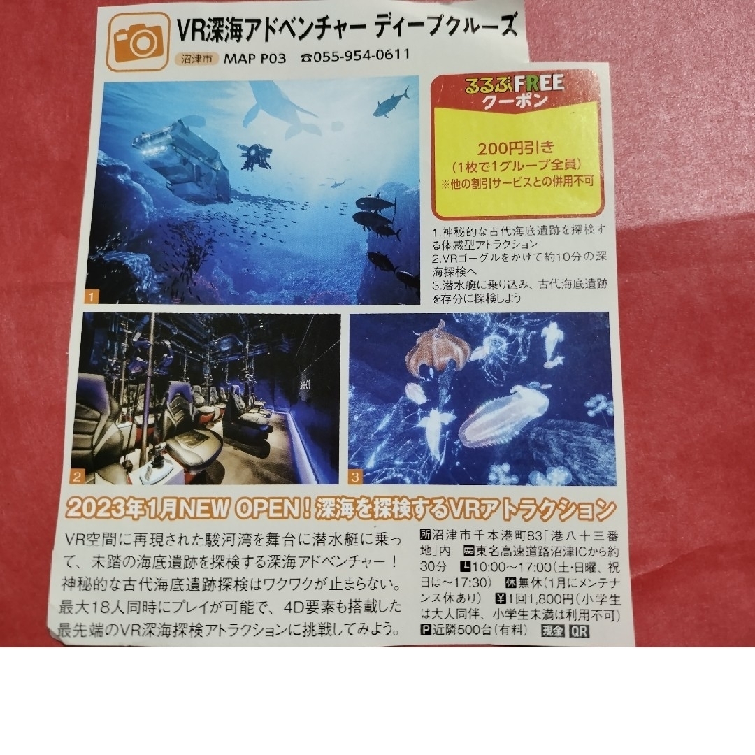 沼津港深海水族館　シーラカンスミュージアム　沼津深海水族館　静岡県　沼津市 チケットの施設利用券(水族館)の商品写真